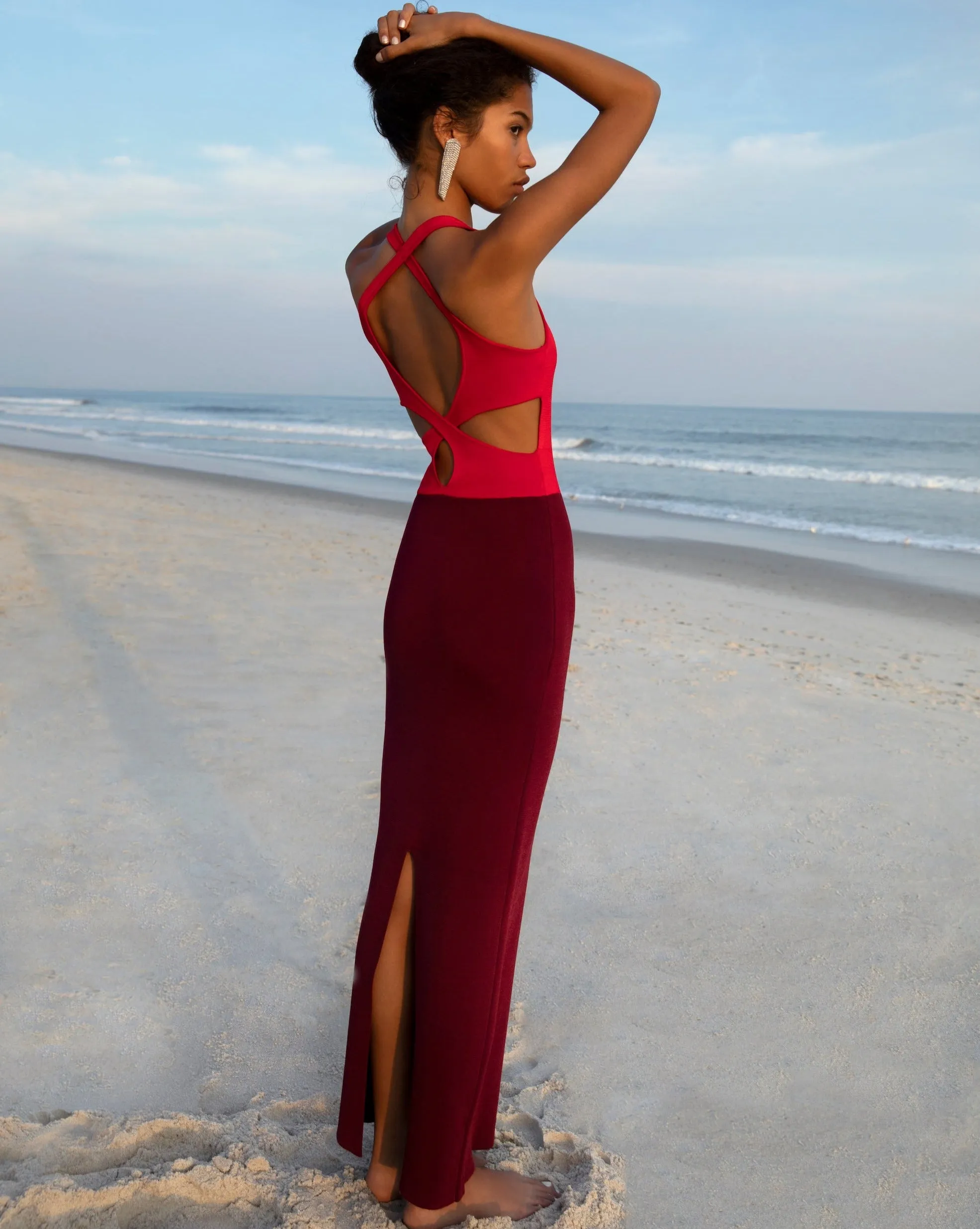 Ines Dress - Red And Burgundy